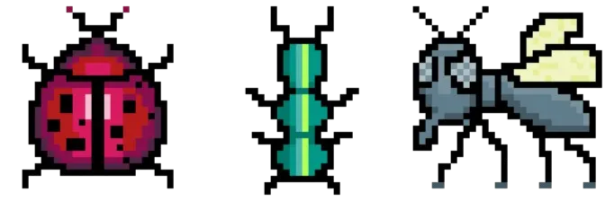 Project preview